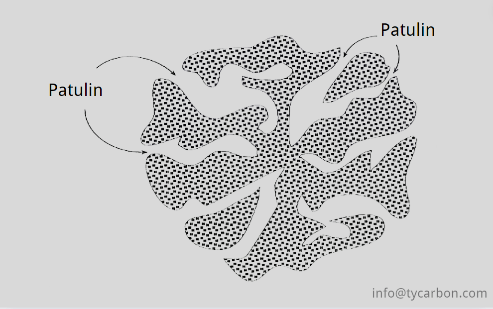 Le charbon actif dans l'élimination de la patuline