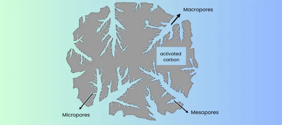 Principe d'adsorption du carbone activé