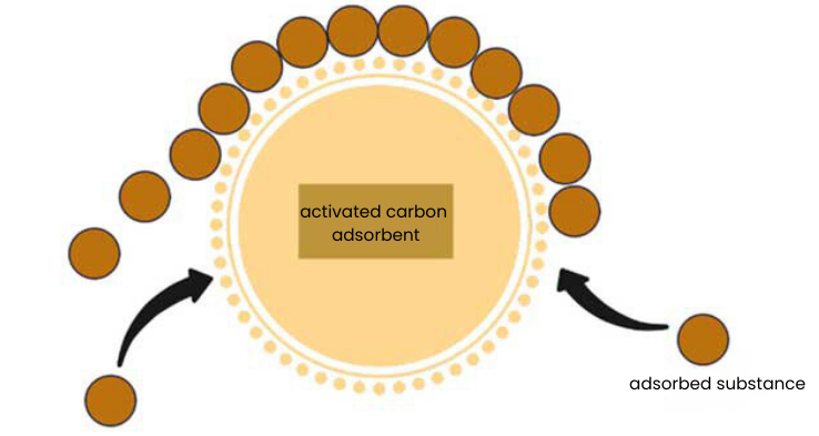 adsorption sur charbon actif