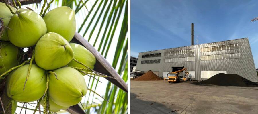 Usine de charbon actif en coquille de noix de coco